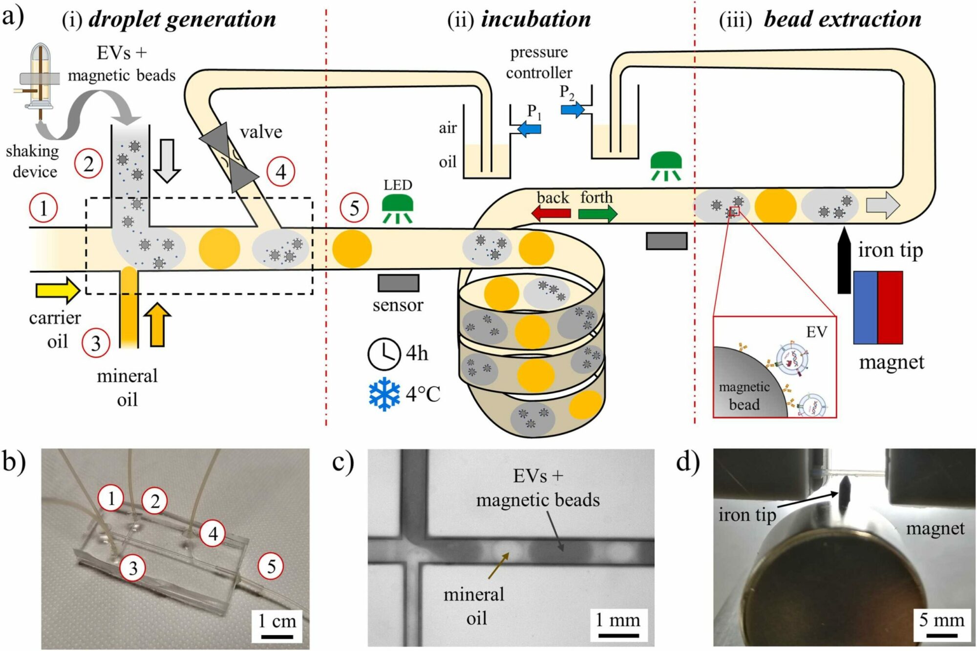 New publication in Sensors and Actuators B Chemical LaFSI
